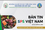 Ra mắt Bản tin SPS Việt Nam 