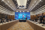 Ông Nguyễn Đức Hiển, Phó trưởng Ban Kinh tế Trung ương phát biểu trực tuyến khai mạc hội thảo