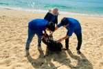 Ảnh: Đoàn thanh niên Sở Công Thương tham gia thu gom rác thải nhựa ở bãi biển