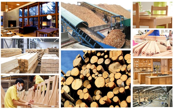 Phát triển bền vững ngành công nghiệp chế biến gỗ phục vụ xuất khẩu