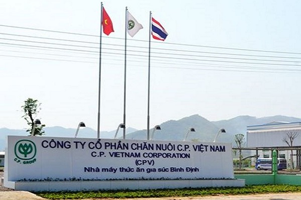 Ảnh nhà máy thức ăn gia súc Bình Định (Là một trong những cơ sở sử dụng năng lượng trọng điểm năm 2018 và 2019)