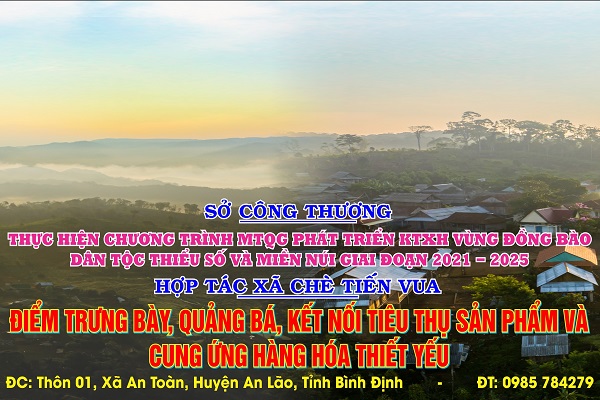 Đẩy mạnh kết nối tiêu thụ sản phẩm, cung ứng hàng hóa thiết yếu cho bà con của vùng đồng bào dân tộc thiểu số và miền núi tại huyện An Lão